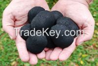 coconut charcoal briquettes