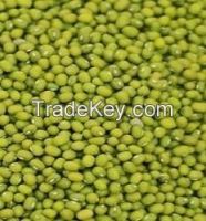 Green Mung Beans