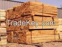 Hardwood / Softwood Timber / Lumber