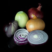 High Quality Fresh Onions (Paerl Onions, Red Onions, Shallots, Yellow Onions)