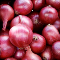 High Quality Fresh Red Onions (calcium 2%)