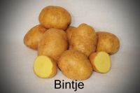 High Quality Bintje Potatoes For Export