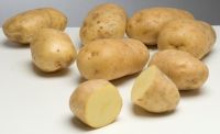 High Quality Bintje Potatoes For Export