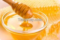 Purest and 100% Natural Honey / Raw Honey / 100% NATURAL POLYFLORAL BEE HONEY