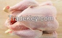 Frozen Whole Chicken