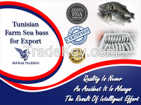 Mediterranean, Fresh, Farmed Sea bass 300-400g