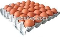 Fresh White and Brown Eggs