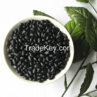 https://ar.tradekey.com/product_view/2015-New-Crop-For-Black-Beans-8318782.html