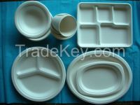 Sugarcane Bagasse Tableware Food Container