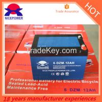Spot electric bicycle battery