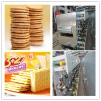 Soft or Hard Biscuit Production Line