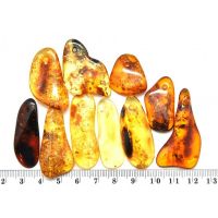 Baltic natural amber pendants