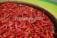 Dried Red Chili Pepper