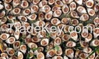 Betel nuts