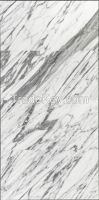 Bianco Carrara 12x24 Polished Marble Tile
