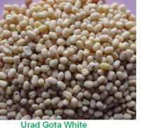 Urad Dal Whole & Split. 