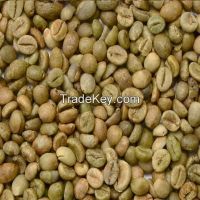 VIETNAM ARABICA GREEN COFFEE BEANS GRADE 1 SCREEN 16