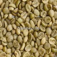 ARABICA GREEN COFFEE BEANS GRADE 2 SCREEN 13