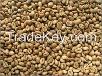 ROBUSTA GREEN COFFEE BEANS GRADE 2 SCREEN 13