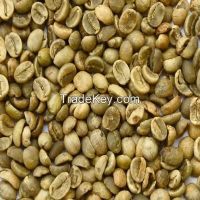 ARABICA GREEN COFFEE BEANS GRADE 1 SCREEN 18