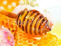 Natural Bee Honey