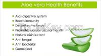 Aloe Vera Juice