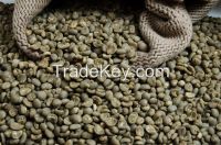 Java Robusta Coffee Bean