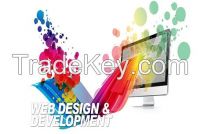  Web Design Company Bhubaneswar