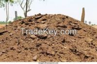 Raw Cow Dung