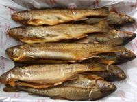 Smoked Trouts