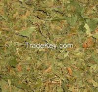 Kratom Leaves