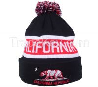 Embroideried beanie