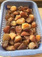 Natural Baltic Amber (Samples Available )