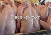 Quality Frozen Whole Chicken