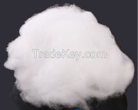 https://jp.tradekey.com/product_view/100-Polyester-Staple-Fiber-8389664.html