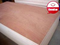 Bintangor furniture plywood, packing plywood, overlaid plywood from ChongKam factory