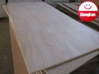 Factory Price Wholesale  Poplar plywood