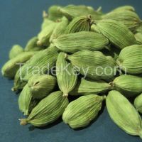 Cardamom