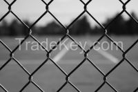 Chain Link Fence