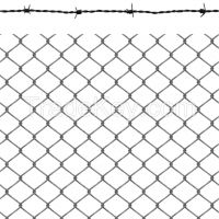 Chain Link Fence