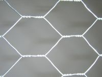 Hexagonal Wire Mesh