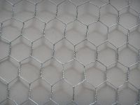 Hexagonal Wire Mesh