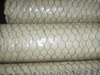 Hexagonal Wire Mesh