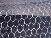 Hexagonal Wire Mesh