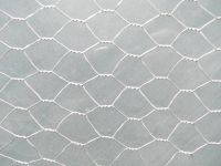 Hexagonal Wire Mesh