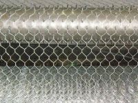 Hexagonal Wire Mesh