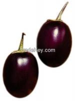 https://jp.tradekey.com/product_view/Brinjal-Baingan-8281977.html