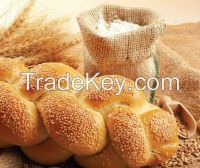 wheat flour - FOB Odessa FROM 240- 250 usd/ton