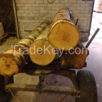 Timber Suppliers