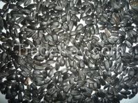 Confection Sunflower Seeds